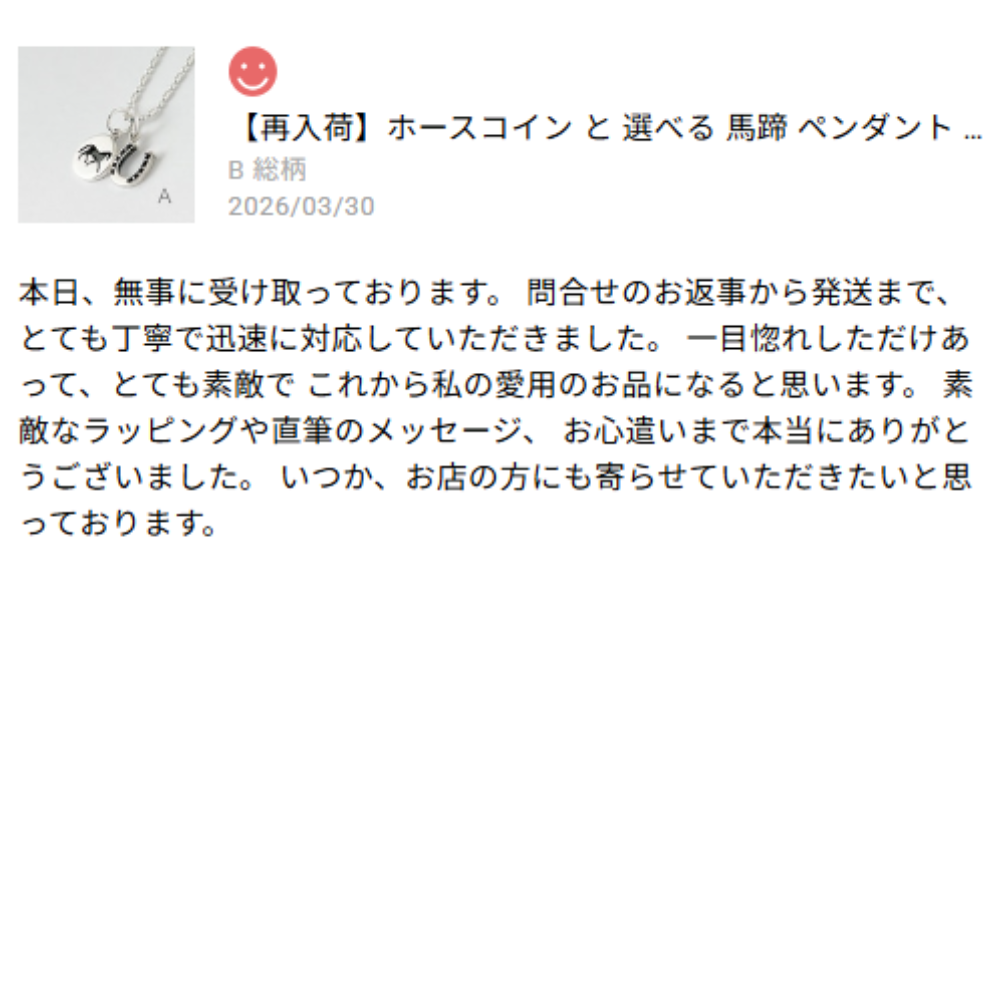 ホースコイン と 選べる 馬蹄 ペンダント (チェーン オプション) 
